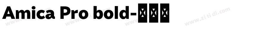Amica Pro bold字体转换